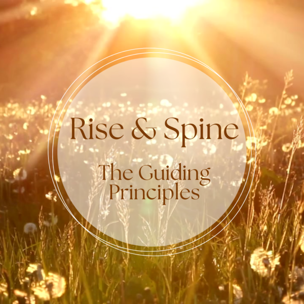 The Guiding Principles